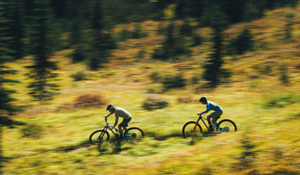 Велосипед Rocky Mountain Instinct A50 29 2021 Green/Black