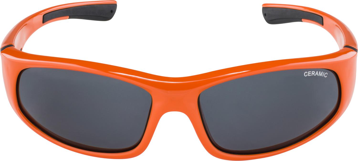 Очки солнцезащитные Alpina 2021-22 Flexxy Junior Orange/Black/Black
