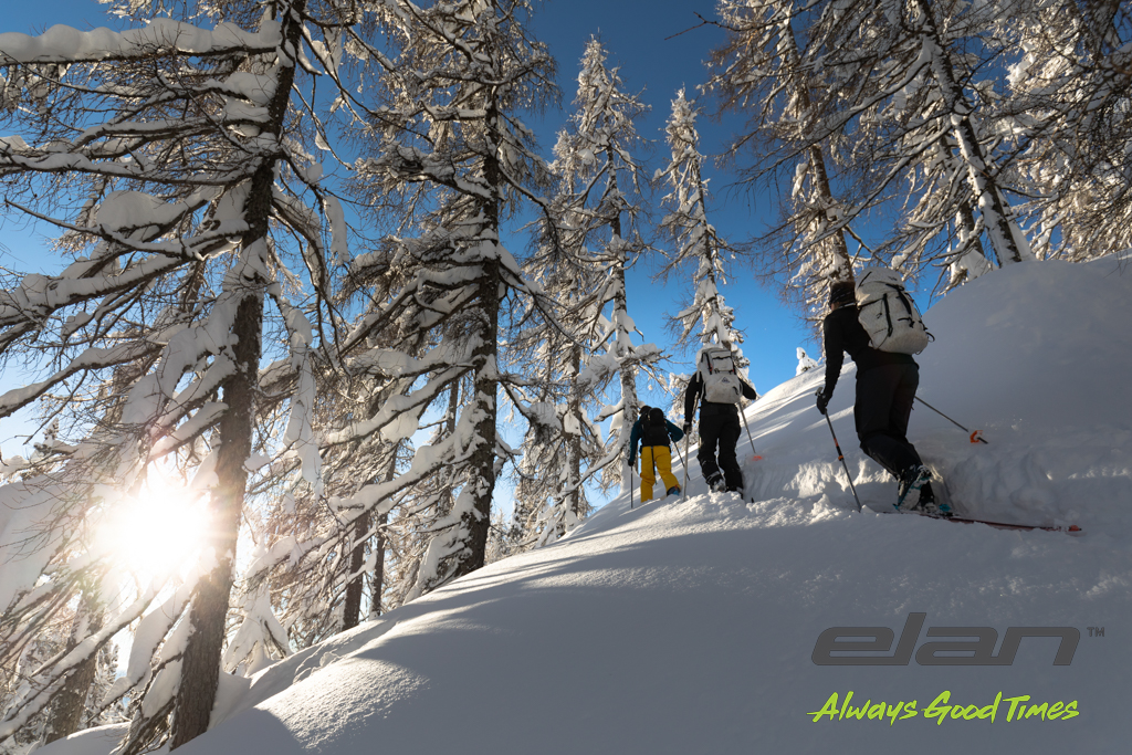 Горные лыжи ELAN 2022-23 Ripstick Black Edition 96