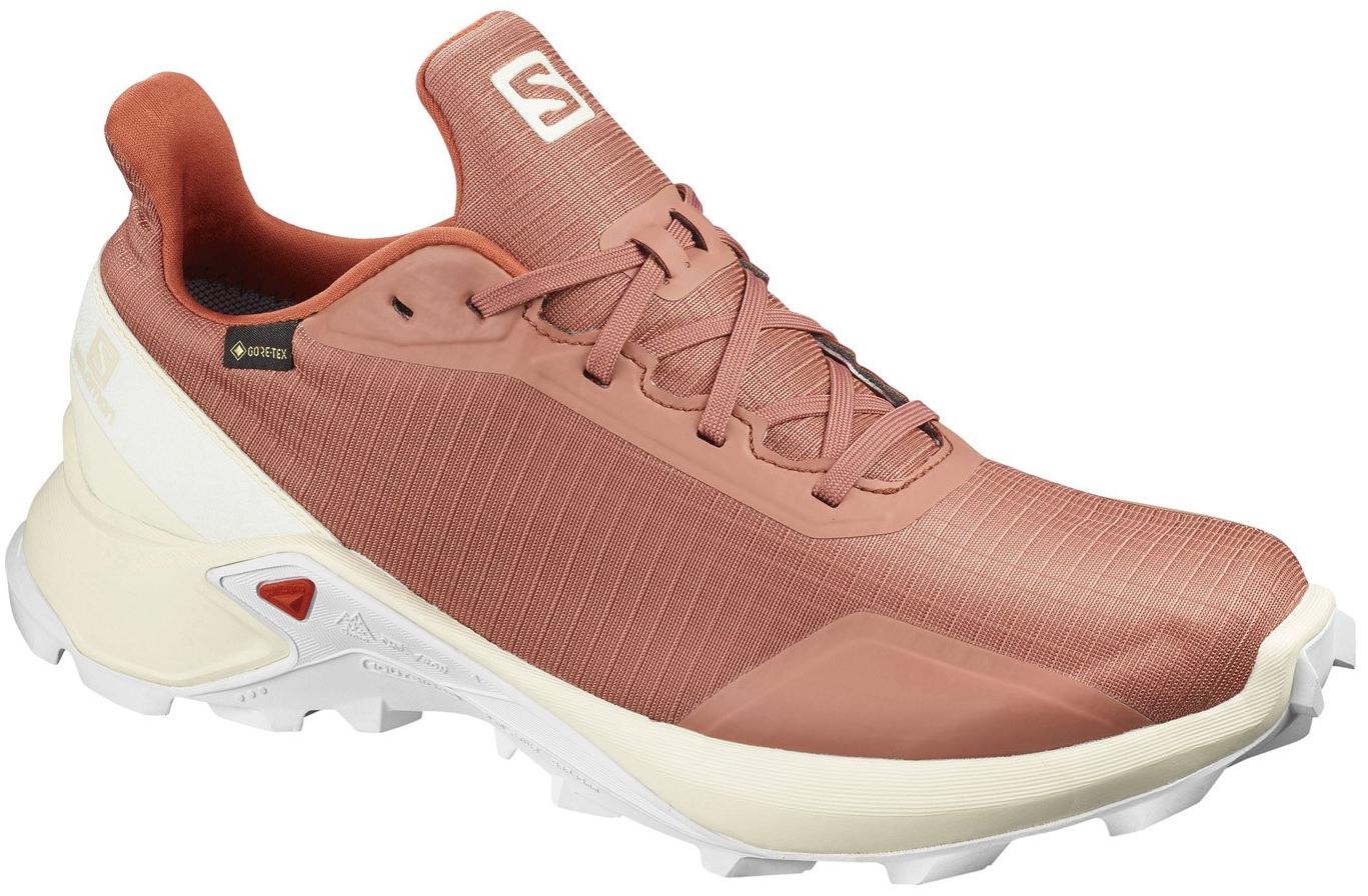 Беговые кроссовки SALOMON Alphacross GTX Cedar Wood/Van - купить в КАНТе