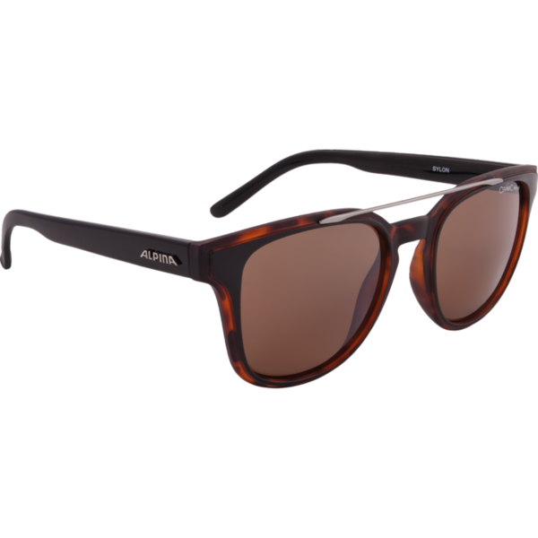 

Очки Солнцезащитные Alpina 2018 Sylon Black-Havana Matt