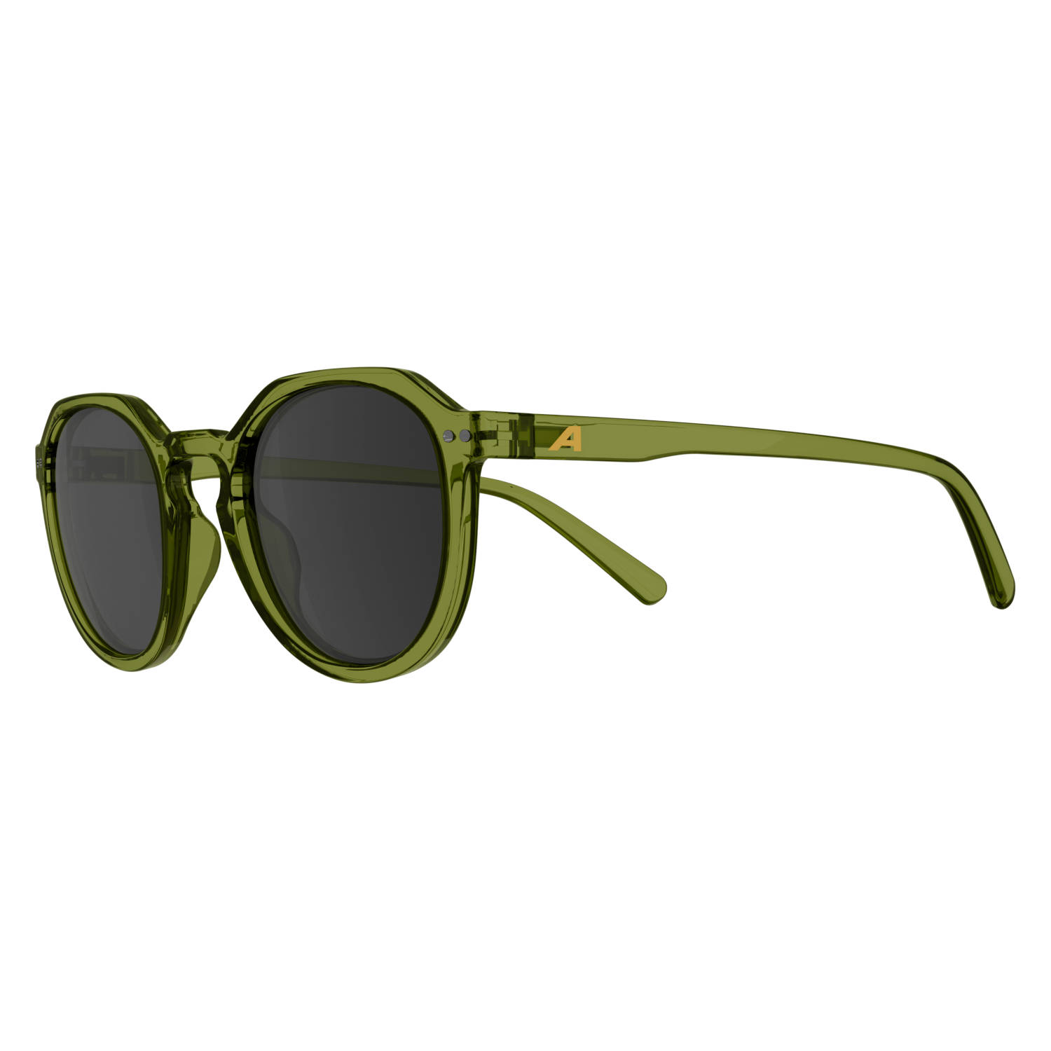 Очки Солнцезащитные Alpina Sneek 2.0 Green-Transparent Gloss/Black Cat.3