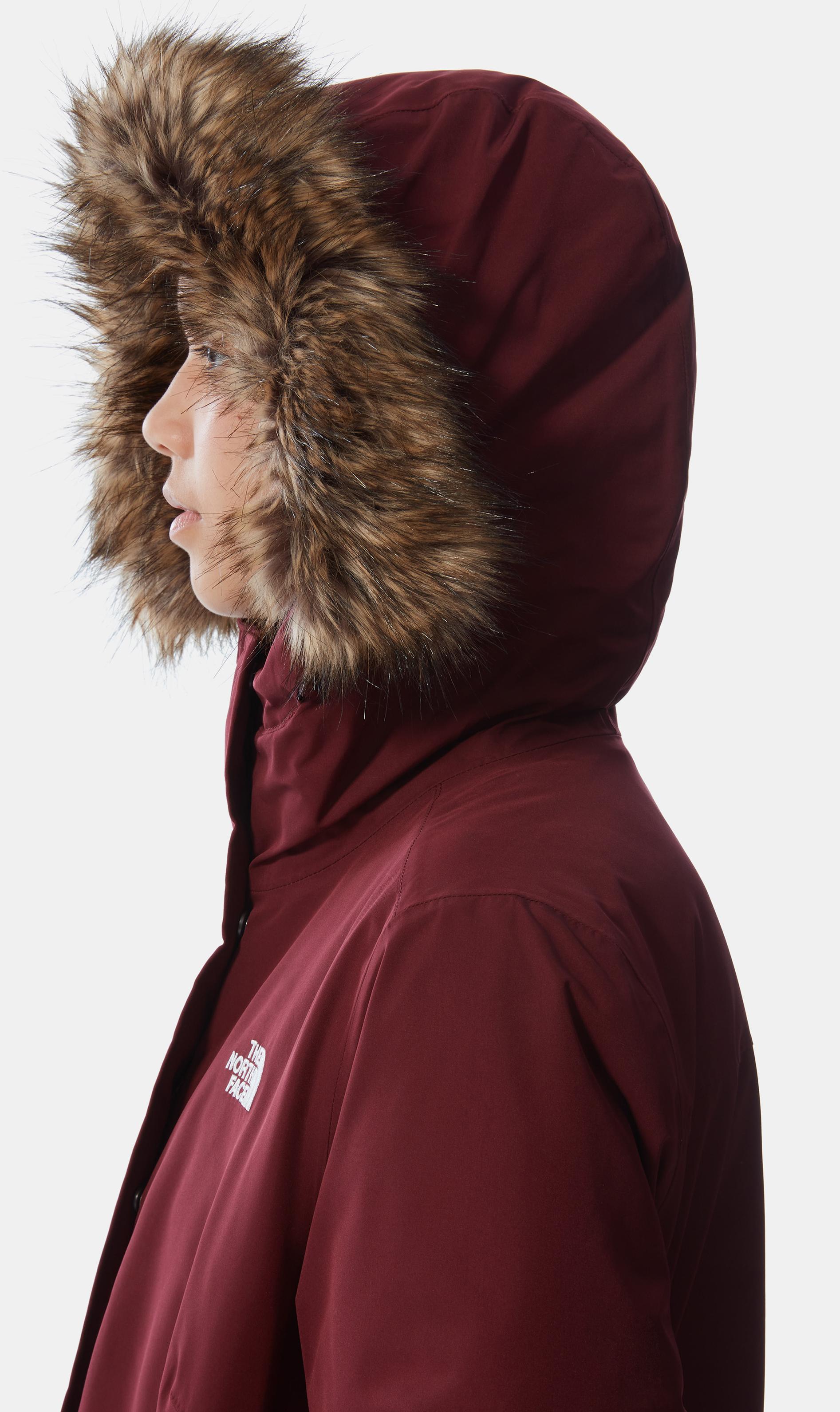 parka zaneck north face