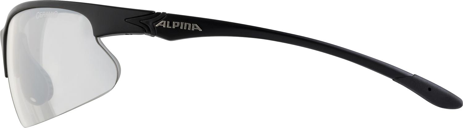 Очки солнцезащитные Alpina Dribs 3.0 Black matt