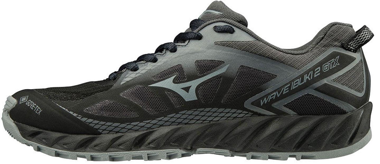 Кроссовки Mizuno WAVE IBUKI 2 GTX (W) Black/Monument/Dark Shadow