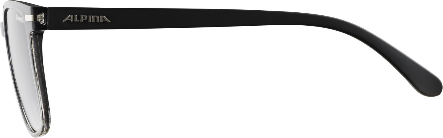 Очки солнцезащитные Alpina 2021-22 Yefe Black/Black Gradient