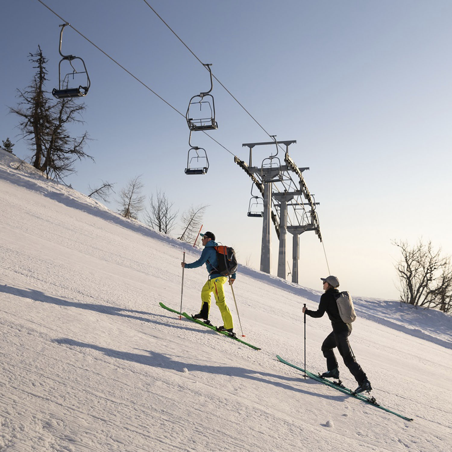 Горные лыжи ELAN Ibex 94 Carbon