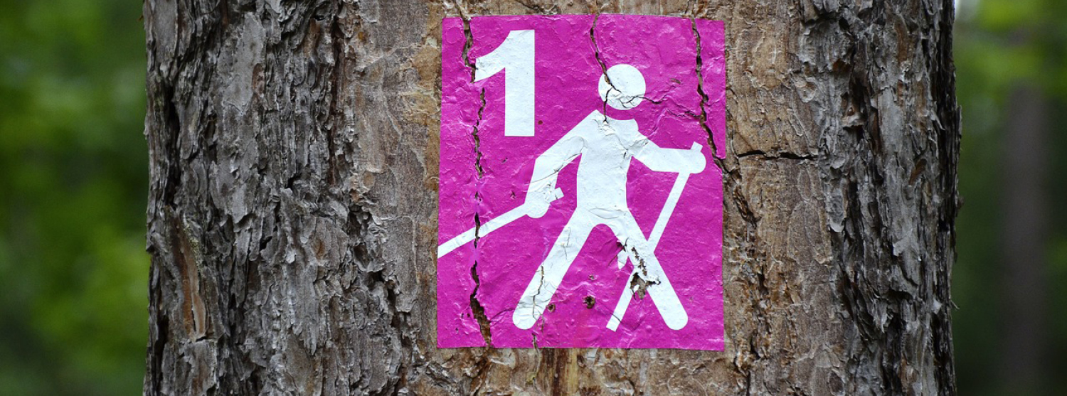 Nordic Walking старт