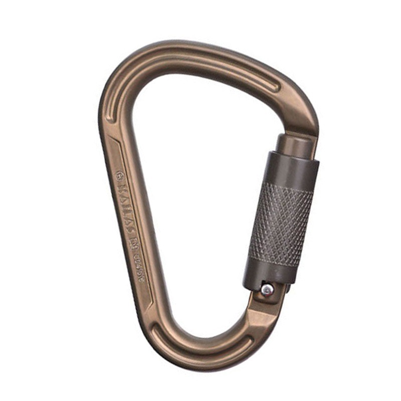Carabiner lock discount