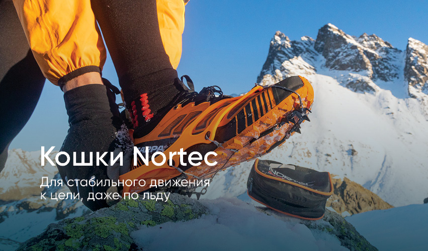 Кошки Nortec
