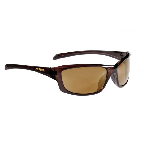 

Очки Солнцезащитные Alpina 2018 Dyfer Brown Transparent
