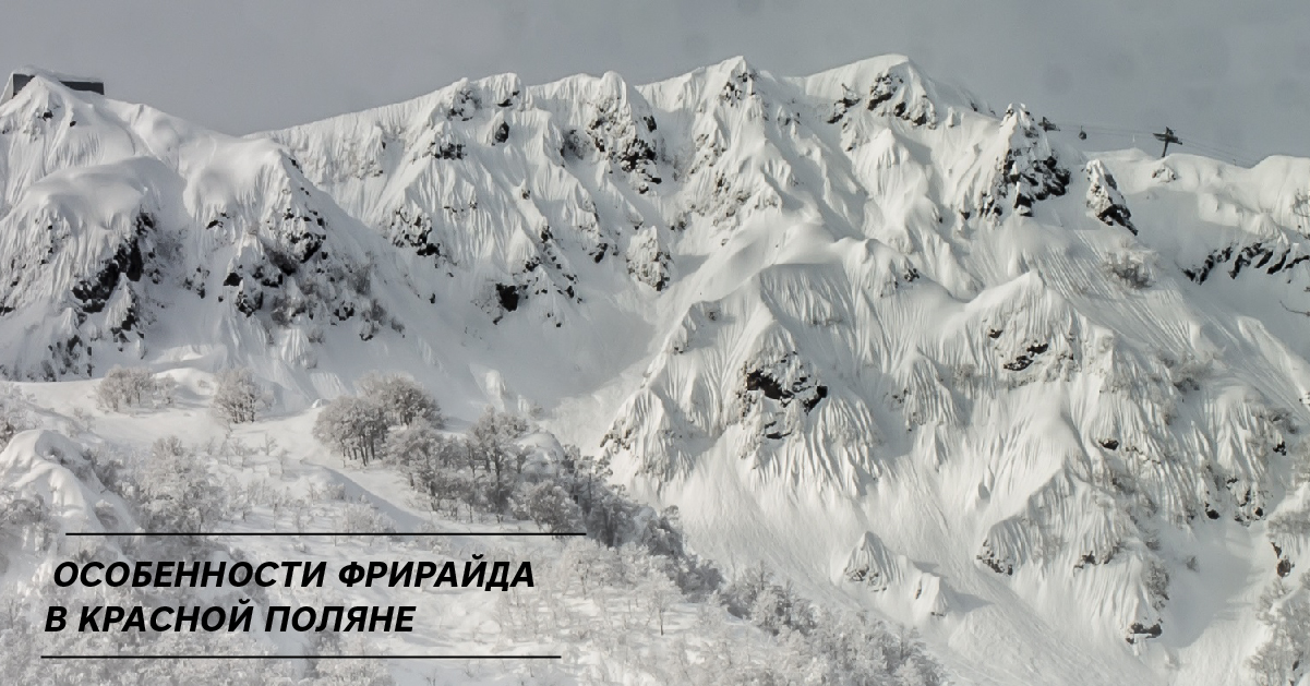 Особенности фрирайда в Красной Поляне Особенности фрирайда в Красной Поляне
