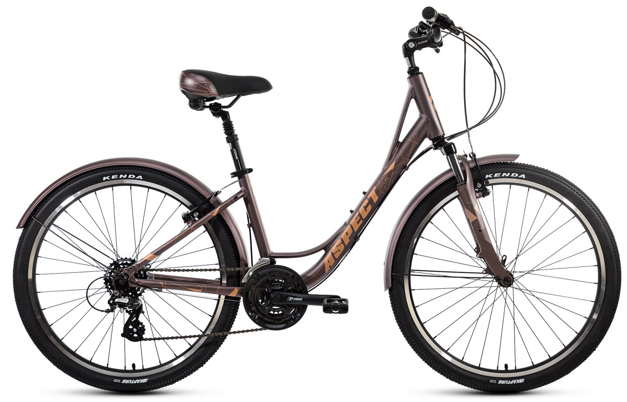 Велосипед Aspect Citylife 26 2021 бронзовый