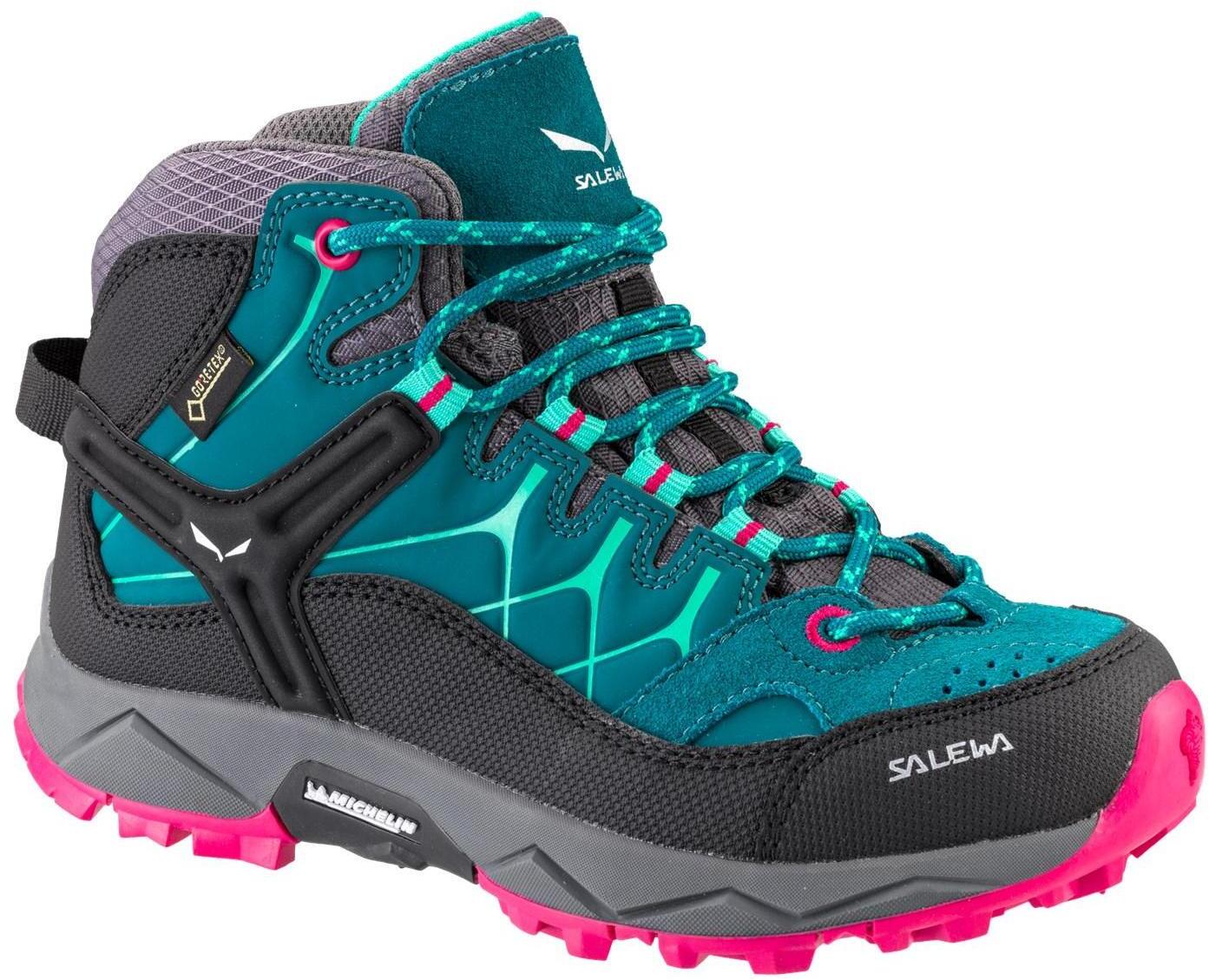 salewa alp trainer 20