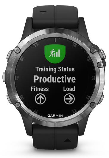 garmin fenix 5 plus silver