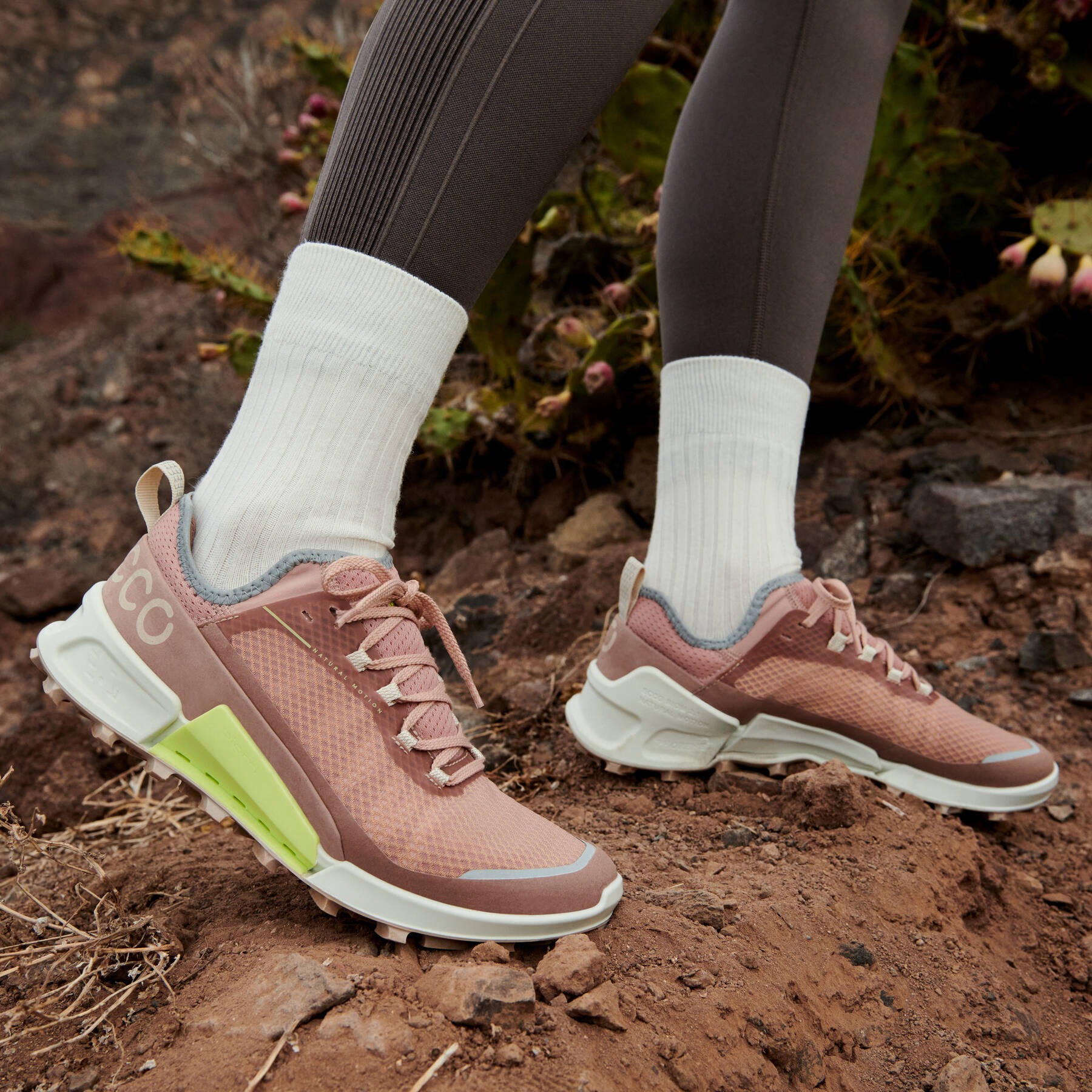 ecco biom mountain w