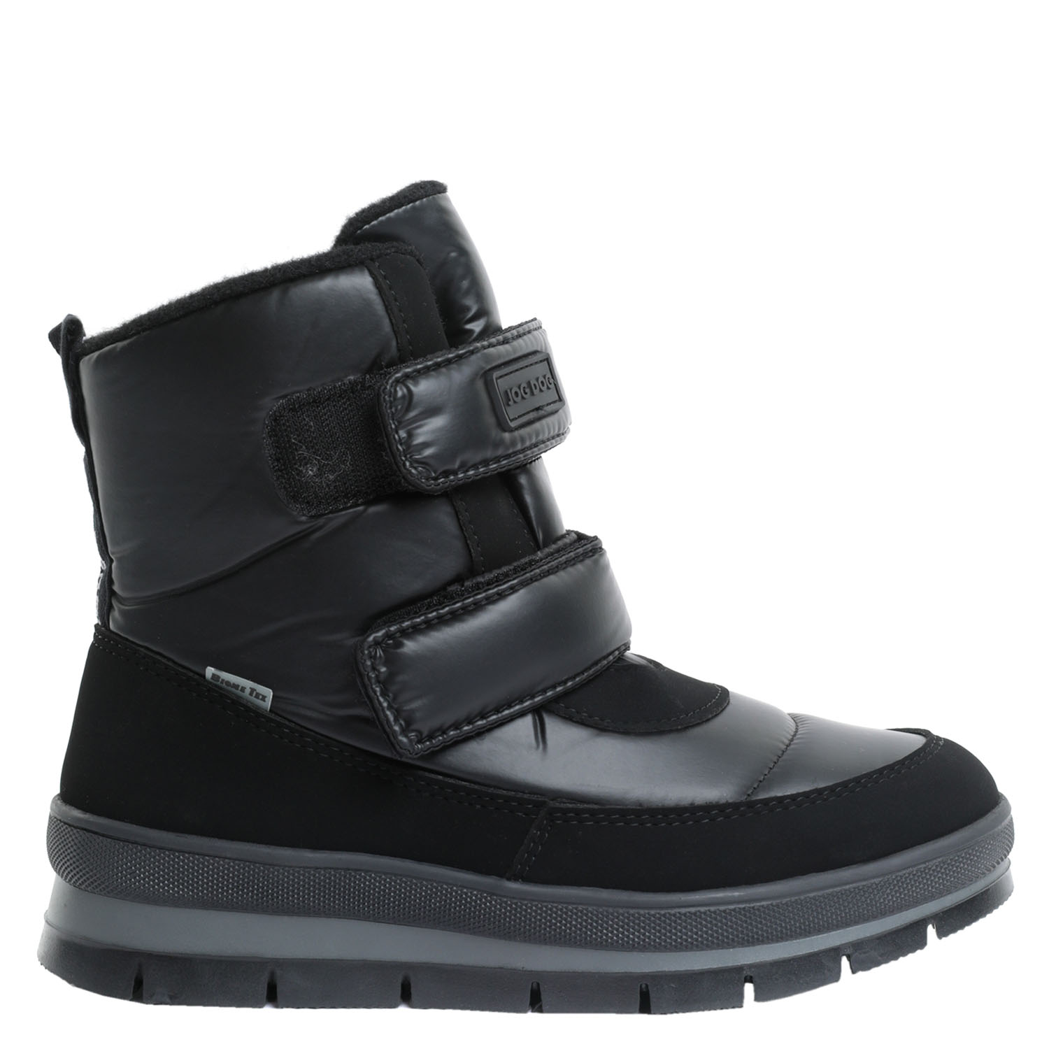 Black dog online clearance buy