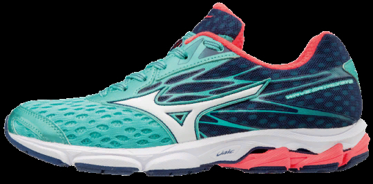 Кроссовки Mizuno WAVE CATALYST 2 (W)