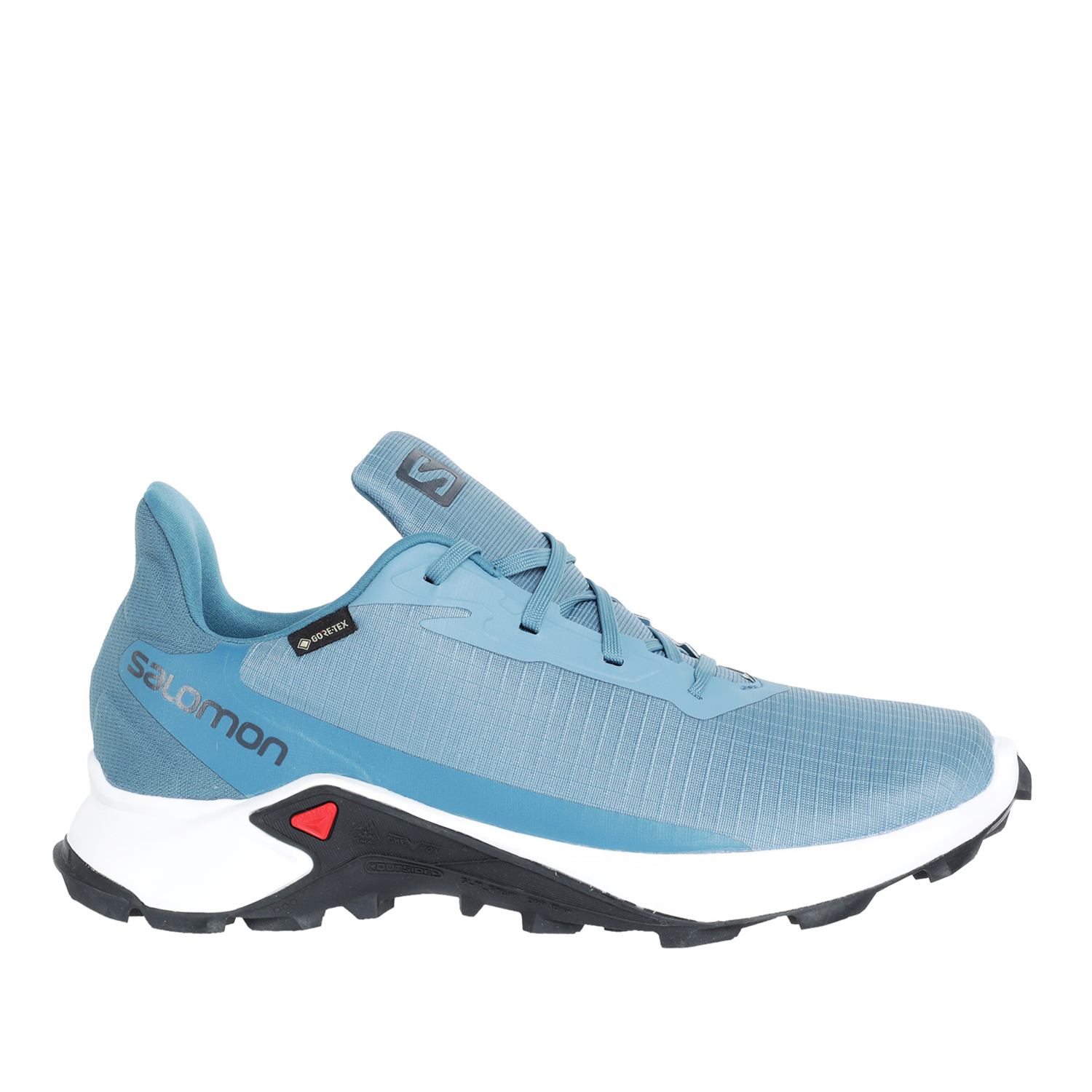 Кроссовки SALOMON Alphacross 3 Gtx W Bluest/White