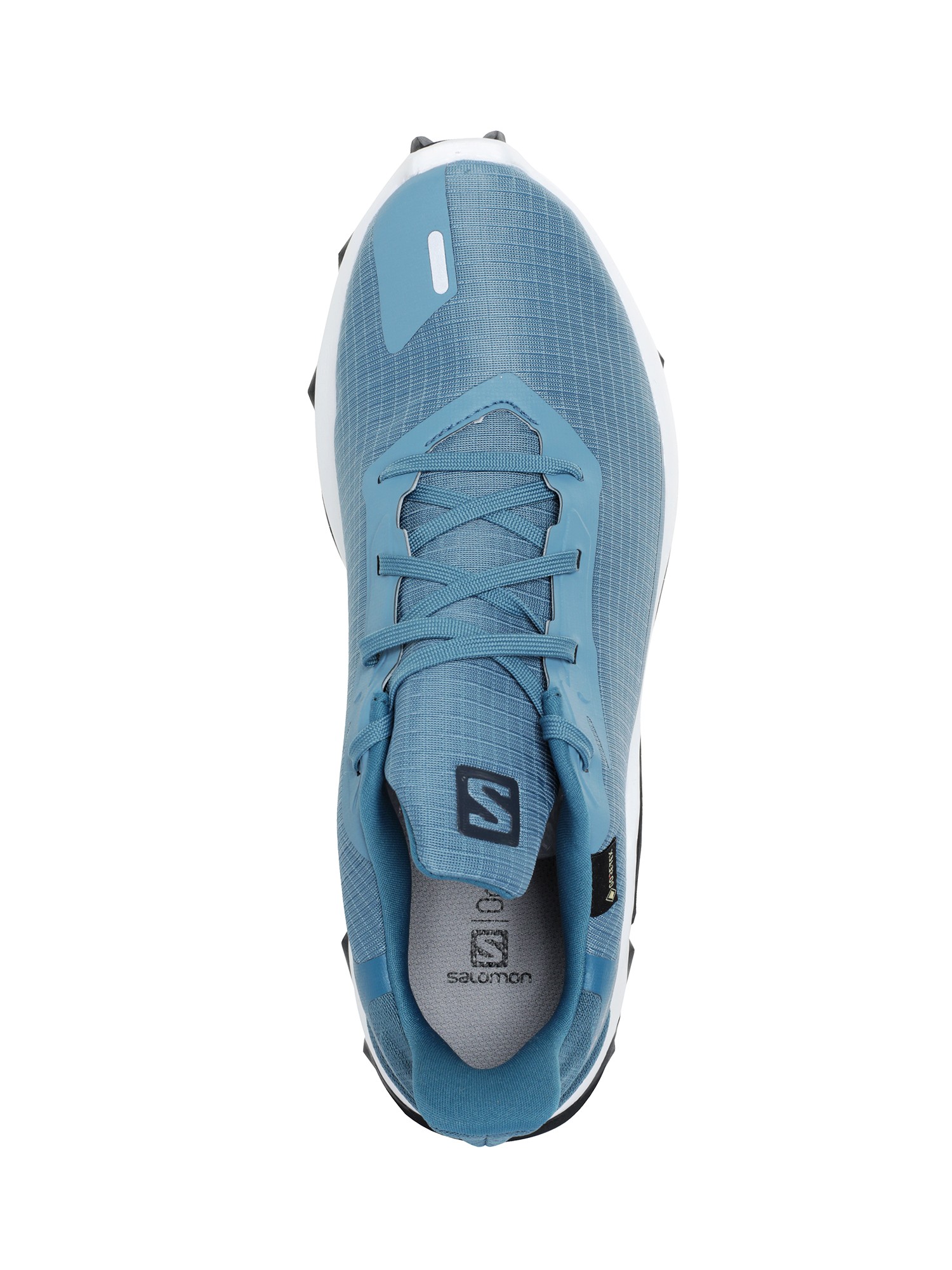 Беговые кроссовки SALOMON Alphacross 3 Gtx W Bluest/White - купить в КАНТе