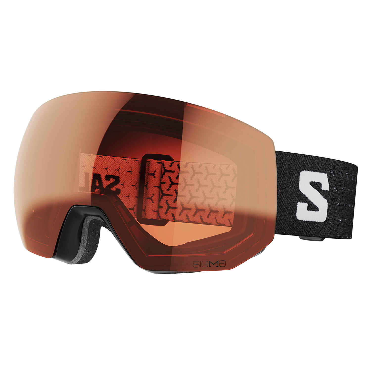 Очки горнолыжные SALOMON Radium Pro Sigma Black