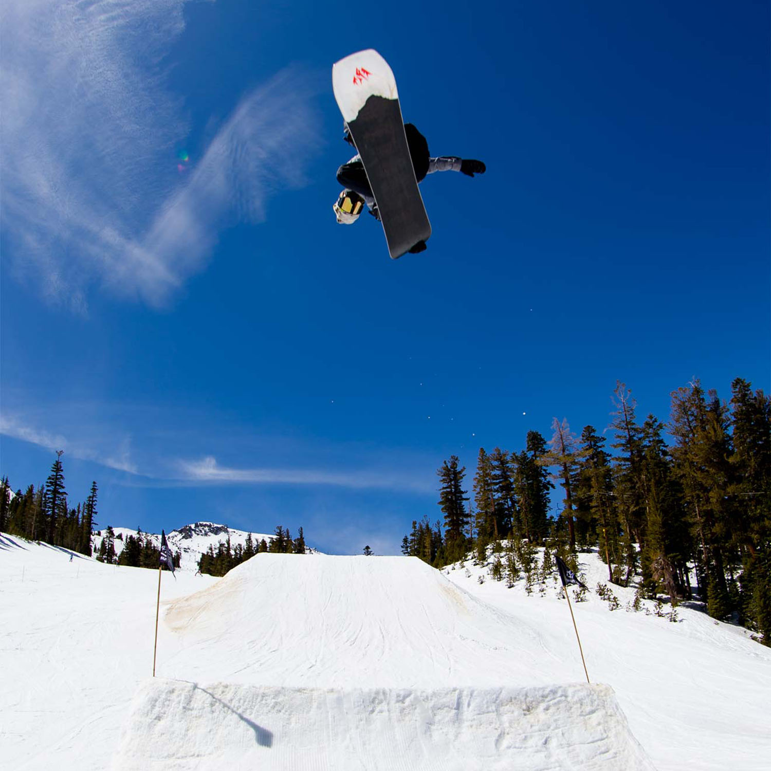 Сноуборд Jones Snowboards Aviator