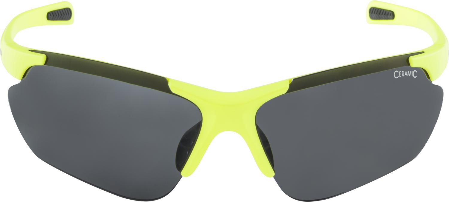 Очки солнцезащитные Alpina 2020 Jalix Neon Yellow-Black/Black
