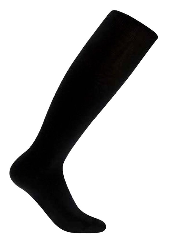 

Носки Accapi Polar Bear - Long Black (Черный)