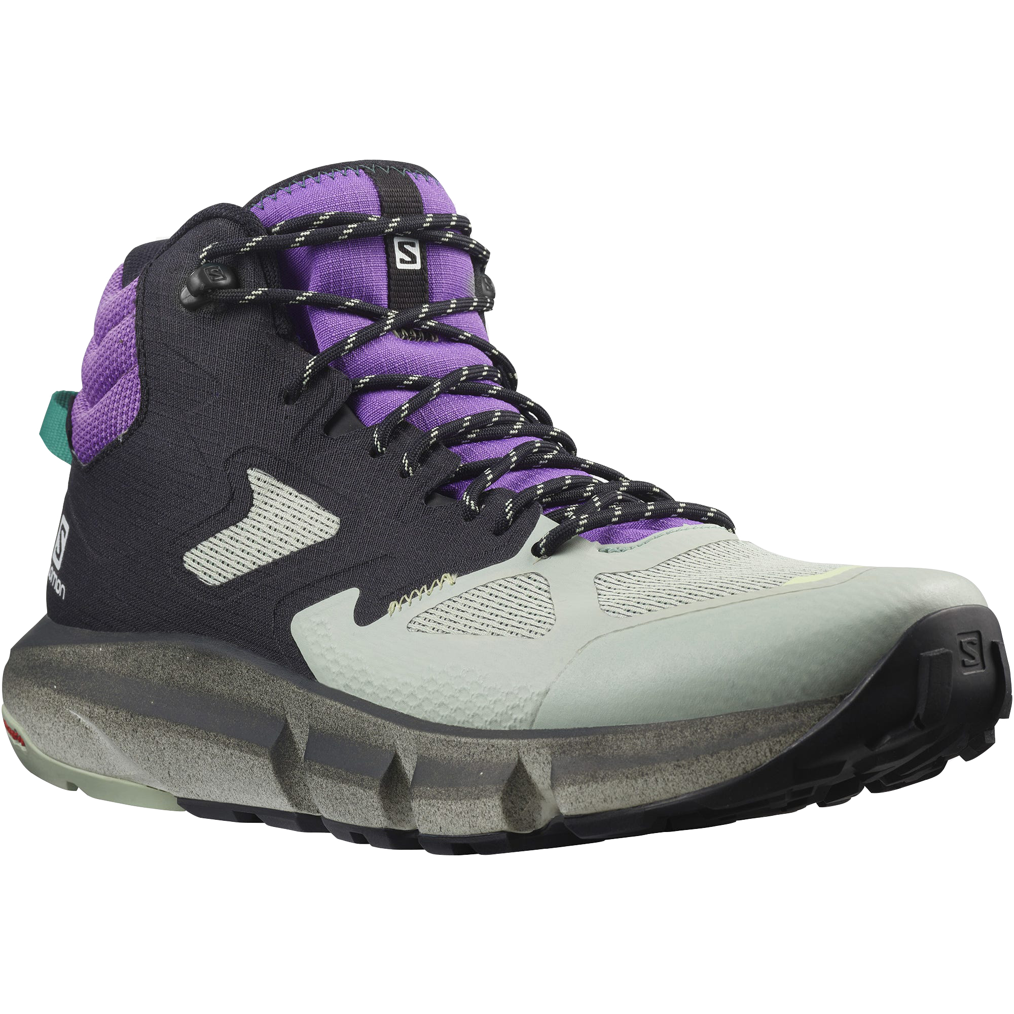salomon predict hike