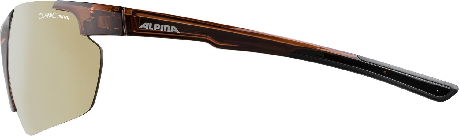 Очки солнцезащитные Alpina 2021-22 Defey HR Brown Transparent Matt/Gold Mirror