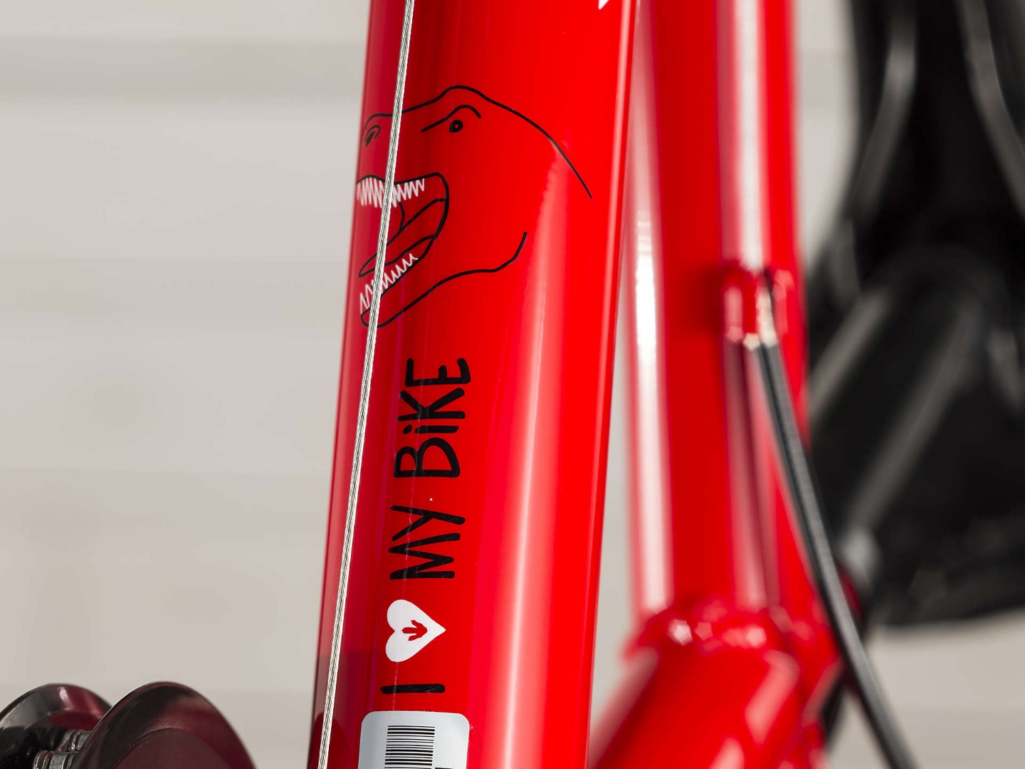 Велосипед Trek Precaliber 20 Boys 2019 Viper Red