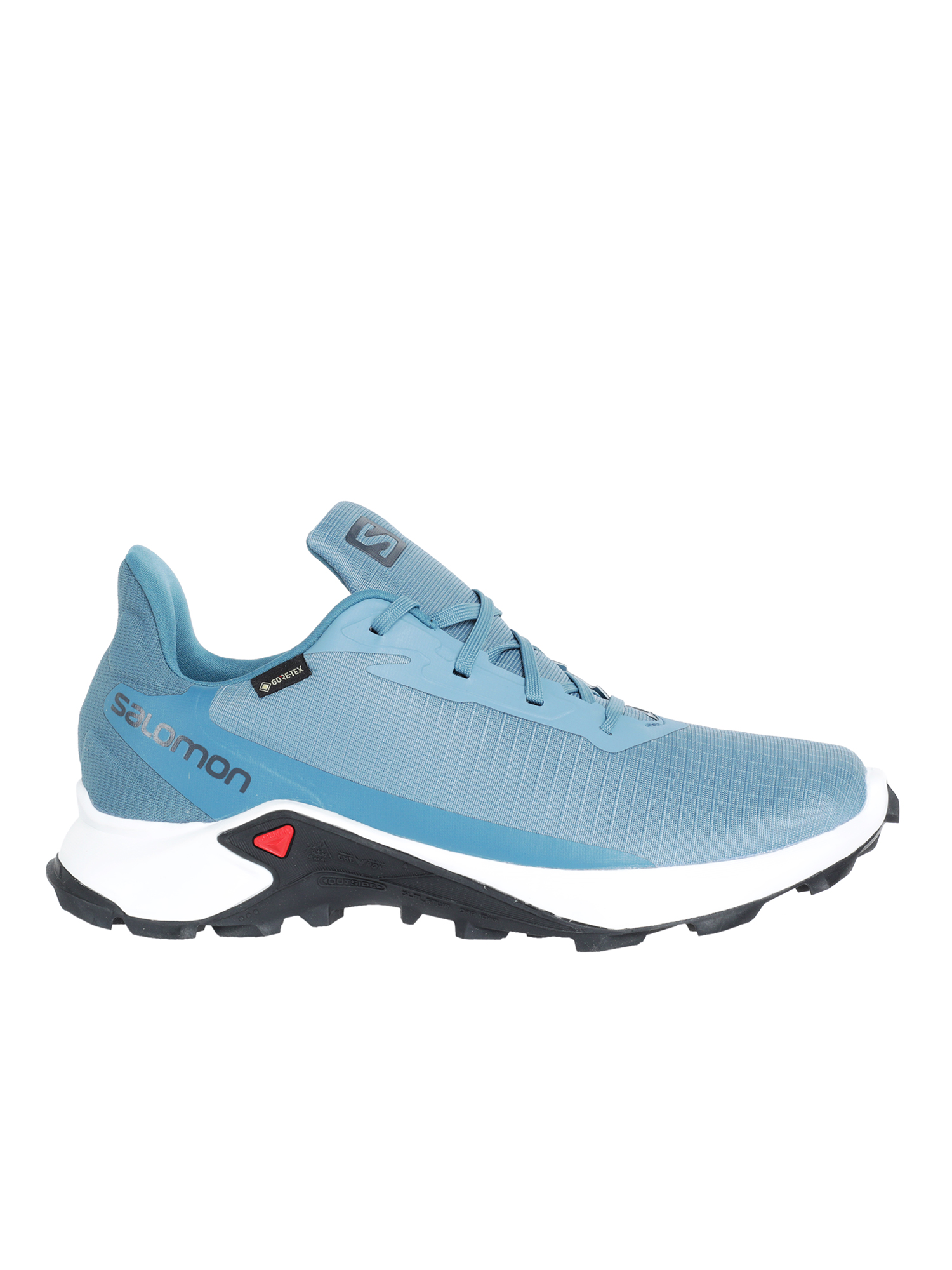Беговые кроссовки SALOMON Alphacross 3 Gtx W Bluest/White - купить в КАНТе