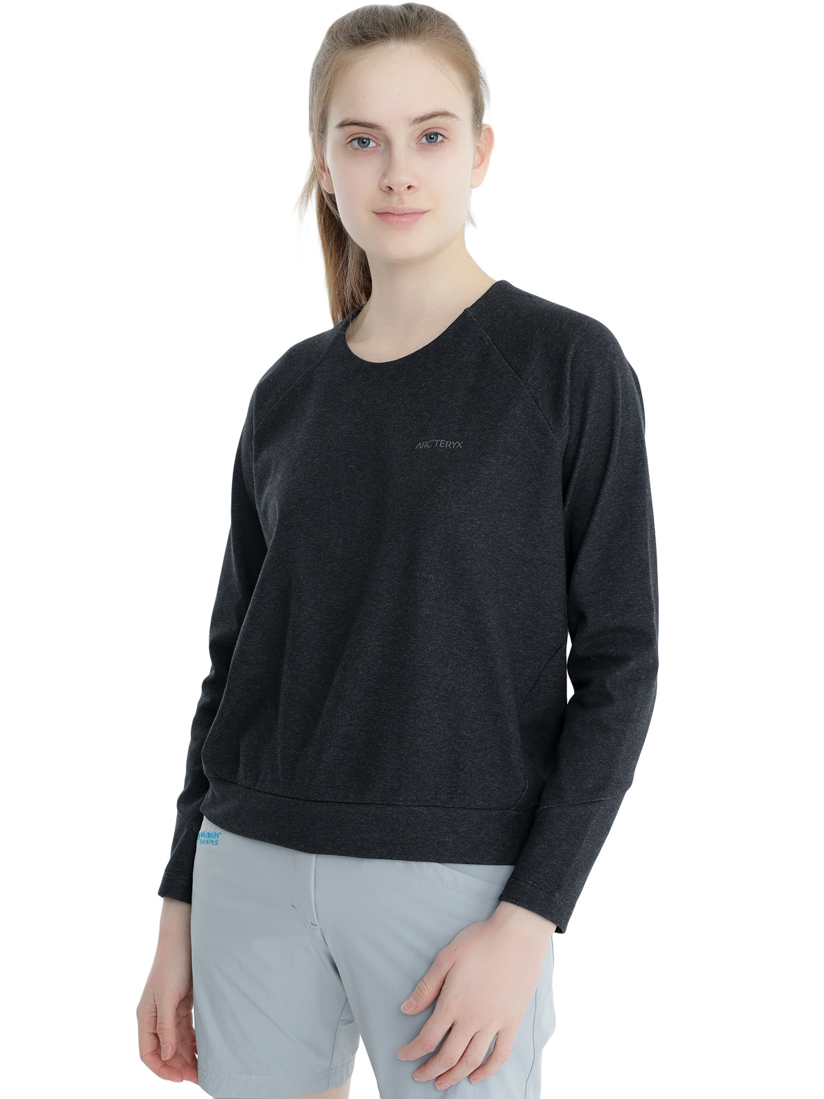 Флис для активного отдыха Arcteryx 
