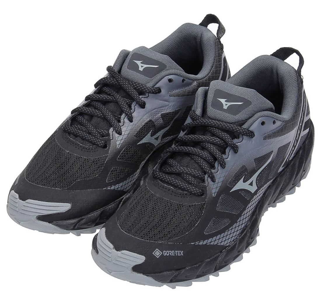 Кроссовки Mizuno WAVE IBUKI 2 GTX (W) Black/Monument/Dark Shadow