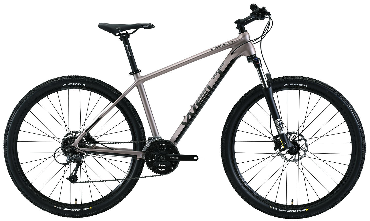 Велосипед Welt Rubicon 2.0 29 2021 Metal grey