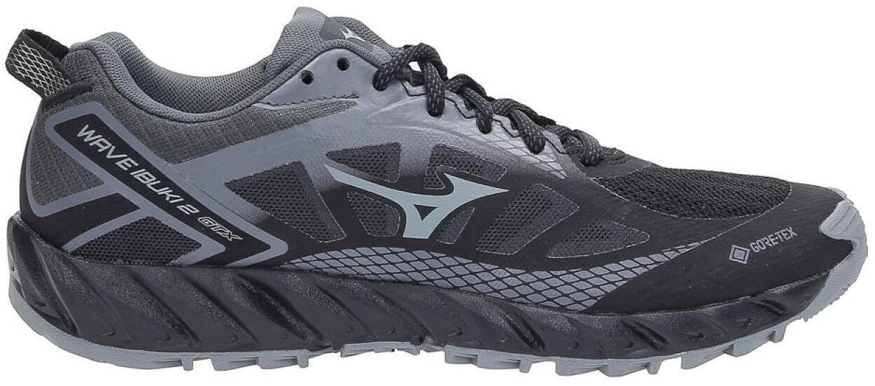 Кроссовки Mizuno WAVE IBUKI 2 GTX (W) Black/Monument/Dark Shadow