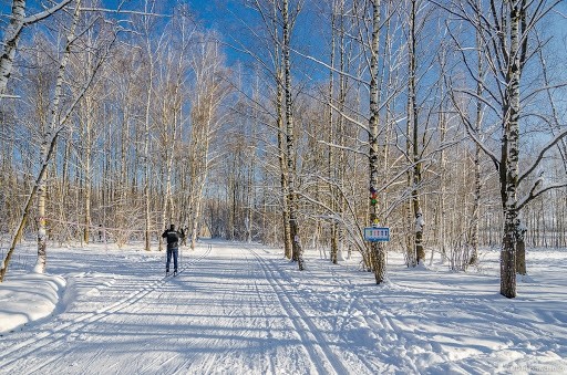 Куда поехать покататься на беговых лыжах в России прямо сейчас?