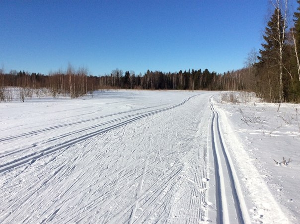 Куда поехать покататься на беговых лыжах в России прямо сейчас?