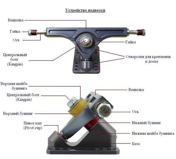 Как правильно выбрать лонгборды? Подробности про подвески, колеса, подшипники, бушинги