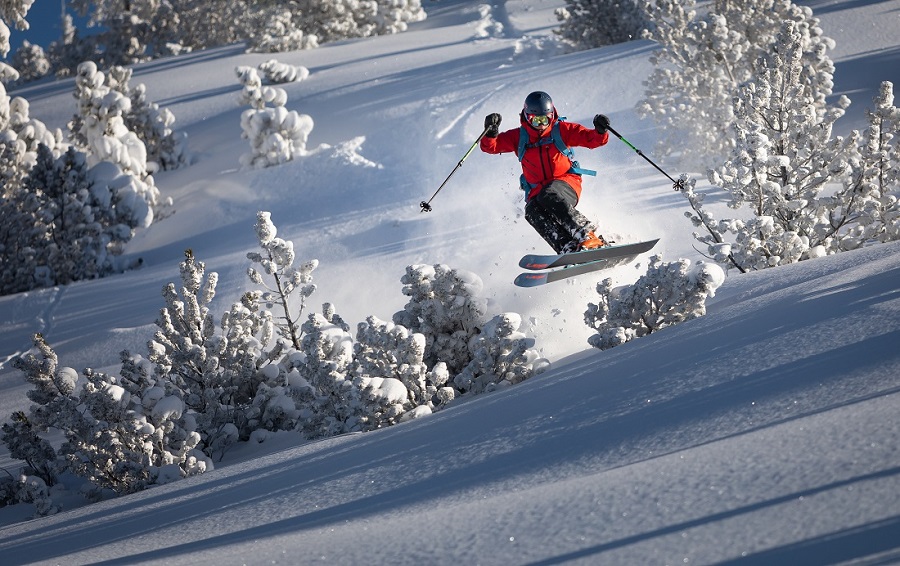 Коллекция горных лыж ELAN «Зима 21-22». Новинки и бестселлеры