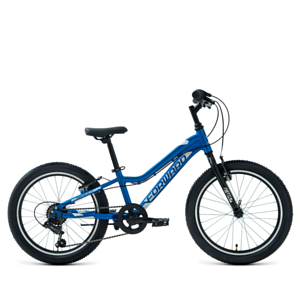 Велосипед Forward Twister 20 1.0 2022 синий/белый