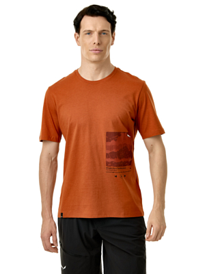 Футболка Salewa Eagle Cover Bombay Brown