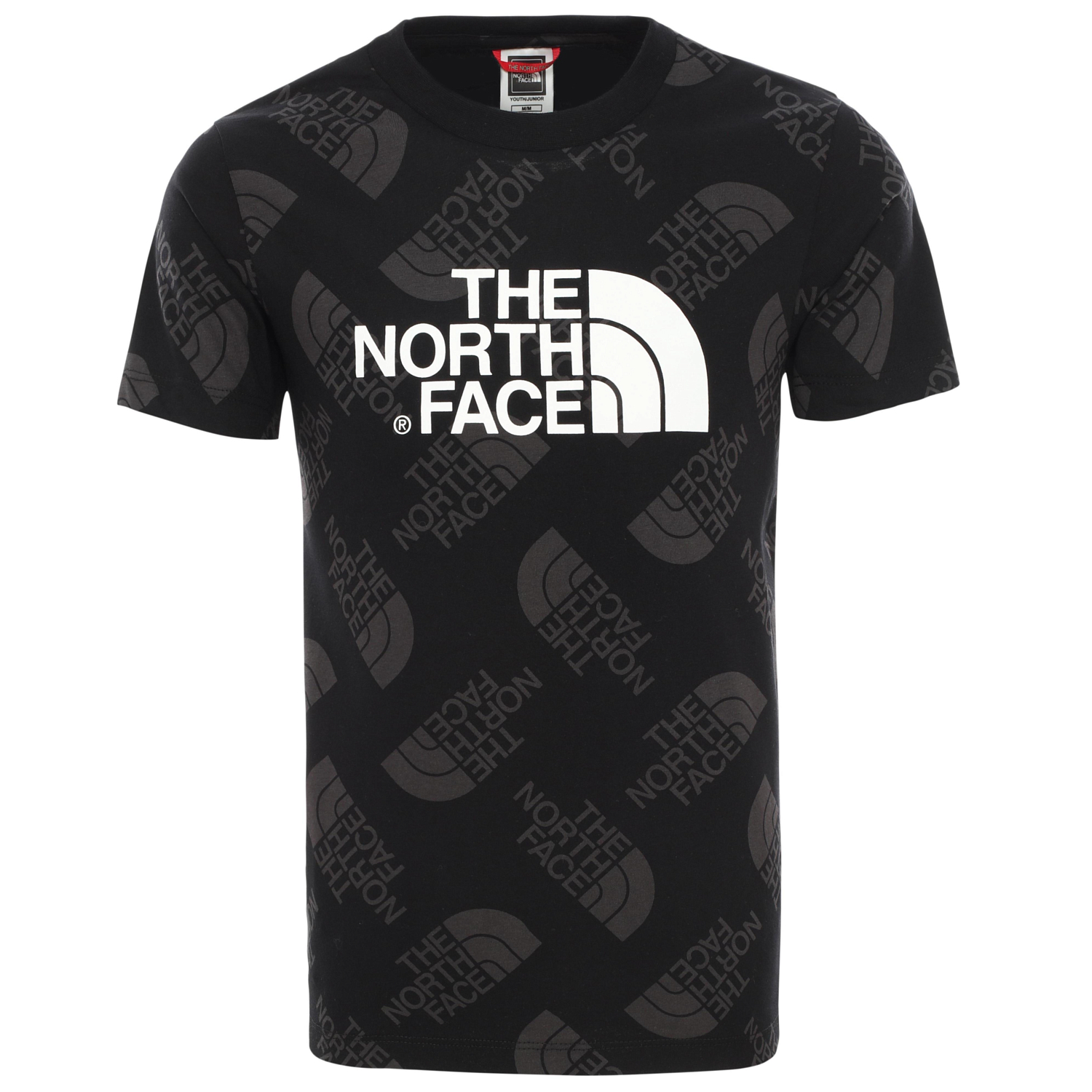 Футболка для активного отдыха The North Face 2020 Youth S/S Easy TNF Black Tossed Logo Mid Print