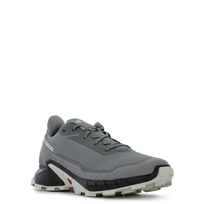 Кроссовки SALOMON Alphacross 5 Pewter/Black/Ghost Gray