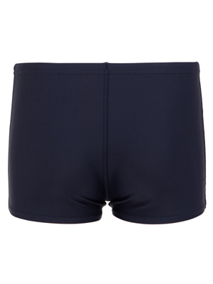 Плавательные шорты детские Speedo Medley Logo Blue