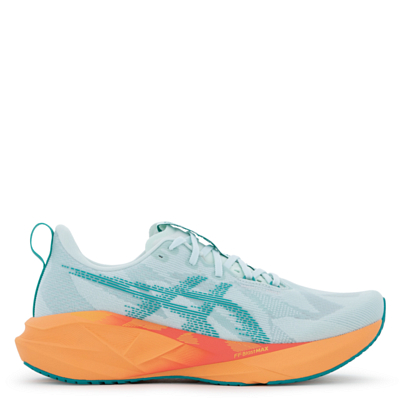 スパイク・シューズ asics NOVABLAST5 30cm アシックス(asics) ランニングシューズ ノバブラスト 5 NOVABLAST 5