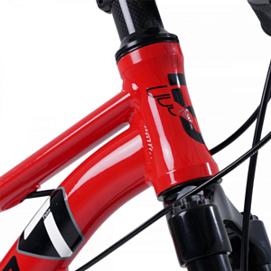 Велосипед MAXISCOO 7Bike 24 2024 Красный