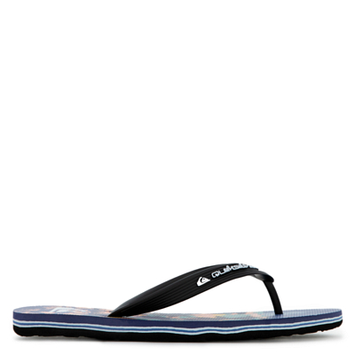 Пантолеты Quiksilver Molokai Art 25 Youth Синий