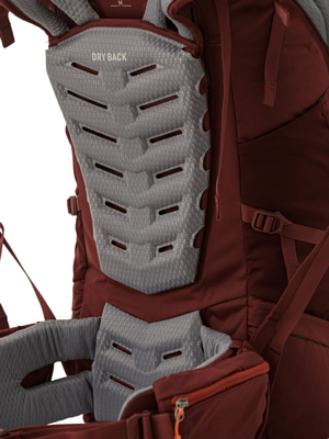 Рюкзак Salewa Alptrek 50+10 Pompeian Red/Syrah
