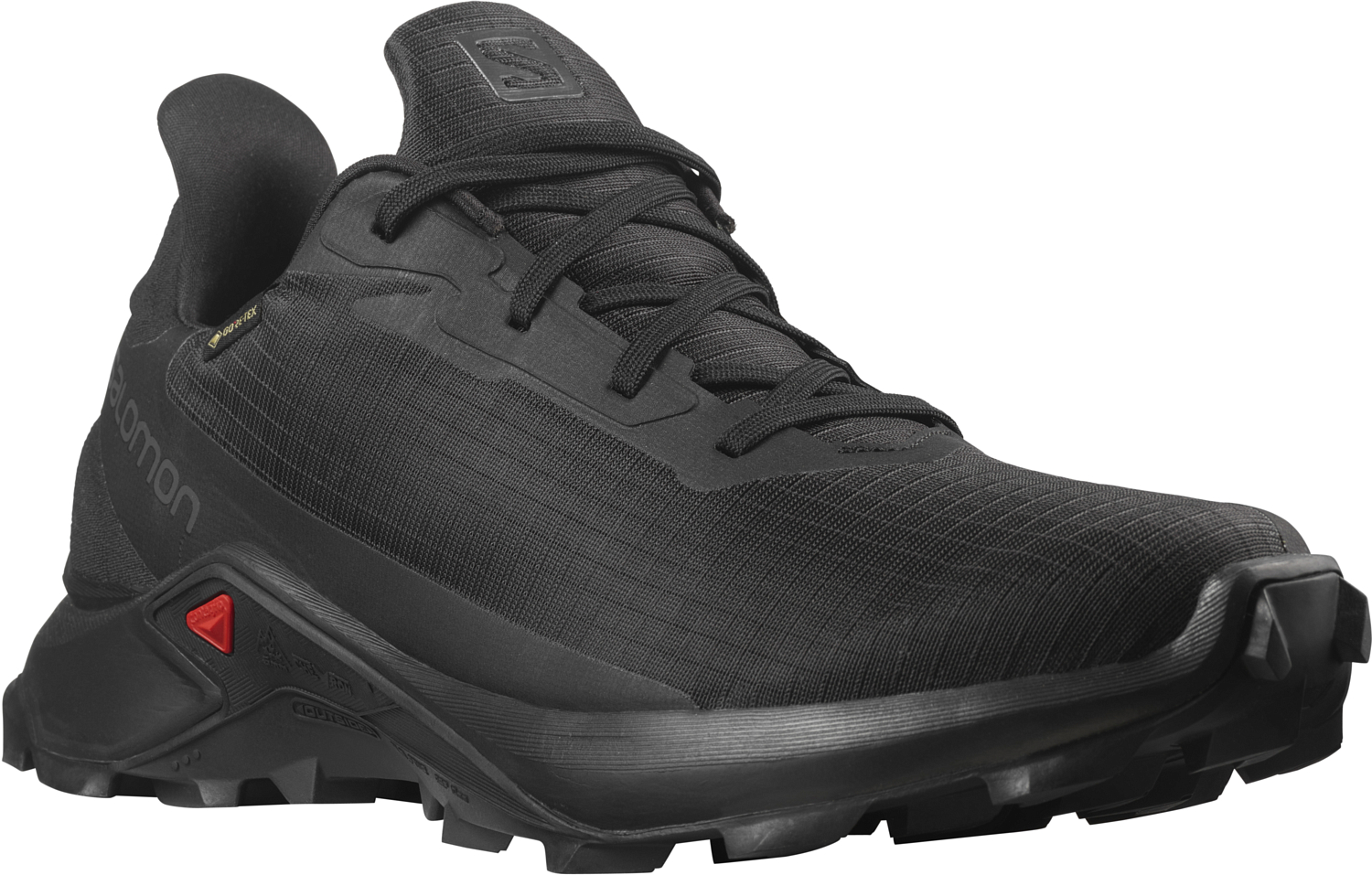 Беговые кроссовки SALOMON Alphacross 3 Gtx Black/Black/B